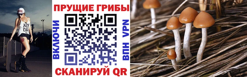Псилоцибиновые грибы MAGIC MUSHROOMS магазин Каневская