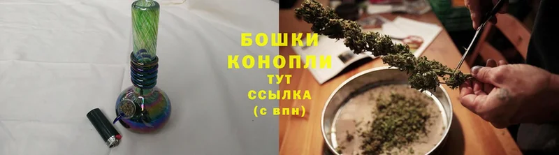 Бошки марихуана SATIVA & INDICA  блэк спрут ссылка  Каневская 