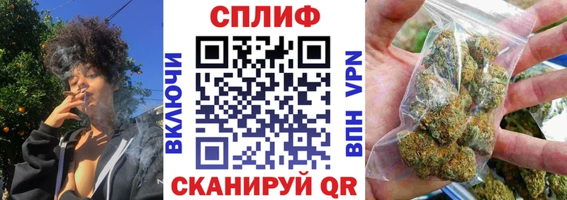 где найти наркотики  Каневская  Канабис сатива 
